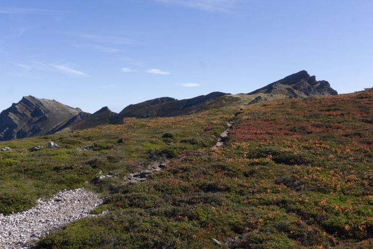 Peña Labra - Pico Tres Mares - Turtle Track