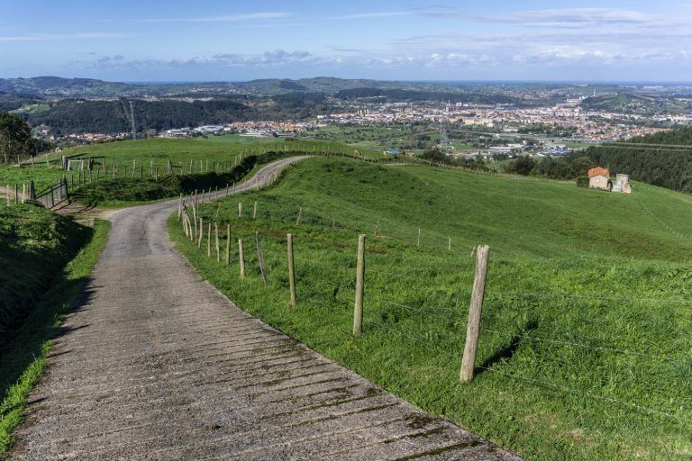 Monte Dobra Senderismo Turtle Track